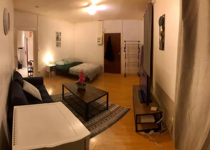 Apartamento T1 Gare Tgv Spacieux Et équipé Le Mans